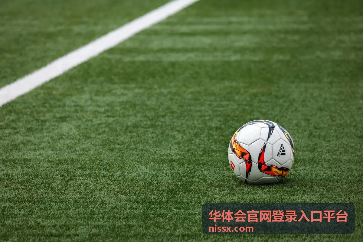 华体会官网登录入口平台个人日常访问场景配图