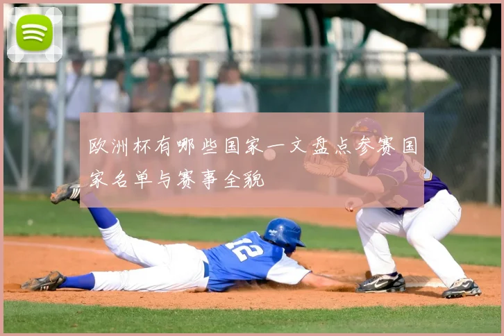 欧洲杯有哪些国家一文盘点参赛国家名单与赛事全貌