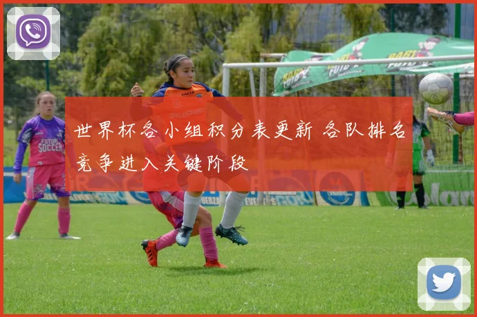 世界杯各小组积分表更新 各队排名竞争进入关键阶段