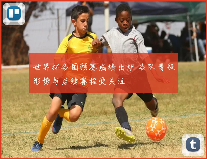 世界杯各国预赛成绩出炉 各队晋级形势与后续赛程受关注